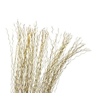 Bronze Brush Wire