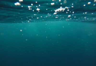 view from underwater