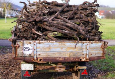 Trailer full of large tree branches